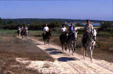 Portugal-Alentejo / Blue Coast-Dolphin Coast Escape Ride
